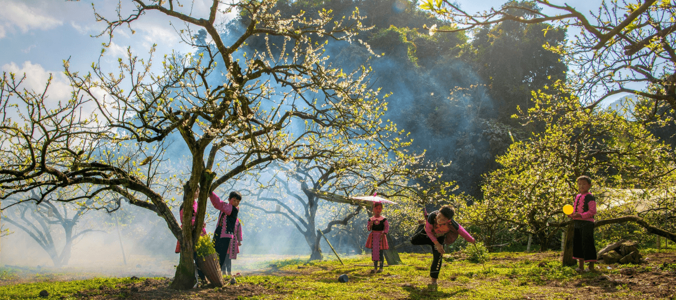 Tour Mộc Châu - Mai Châu